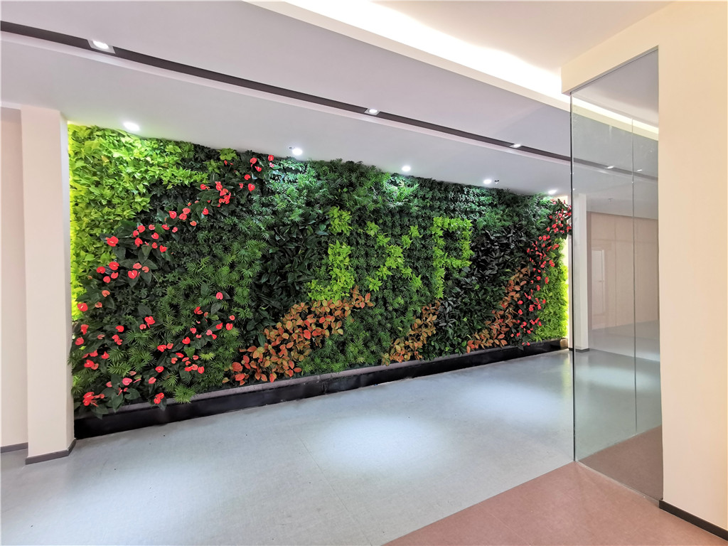 垂直绿化-深圳康建药业-室内植物墙 (5)