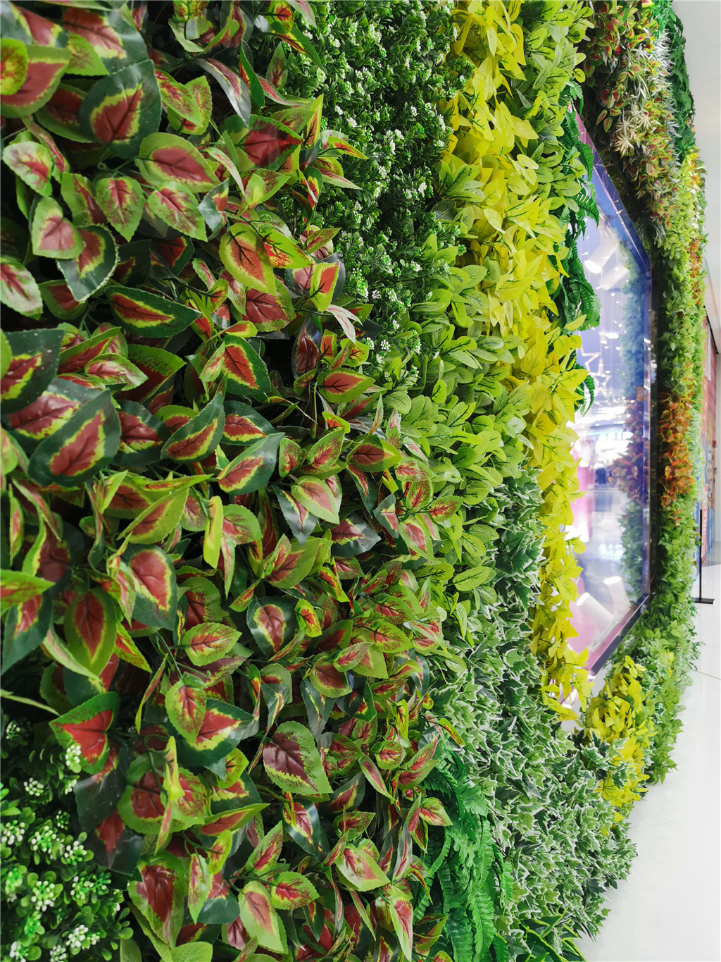 绿化植物墙有什么作用