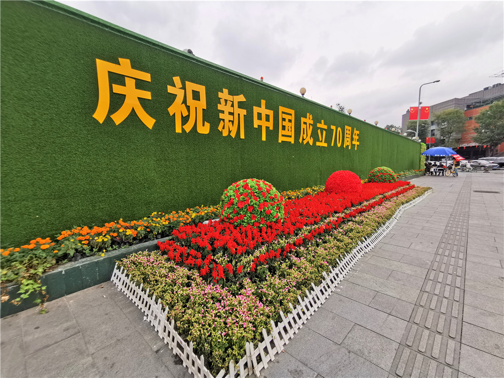 如何维护墙面景观绿植墙的美观和健康状态