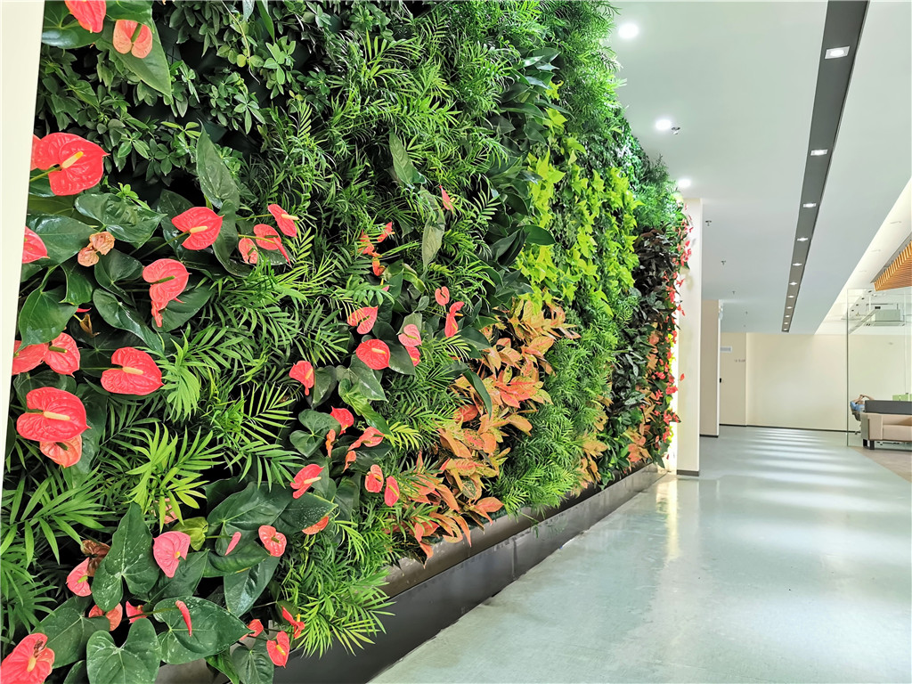 垂直绿化-深圳康建药业-室内植物墙 (4)