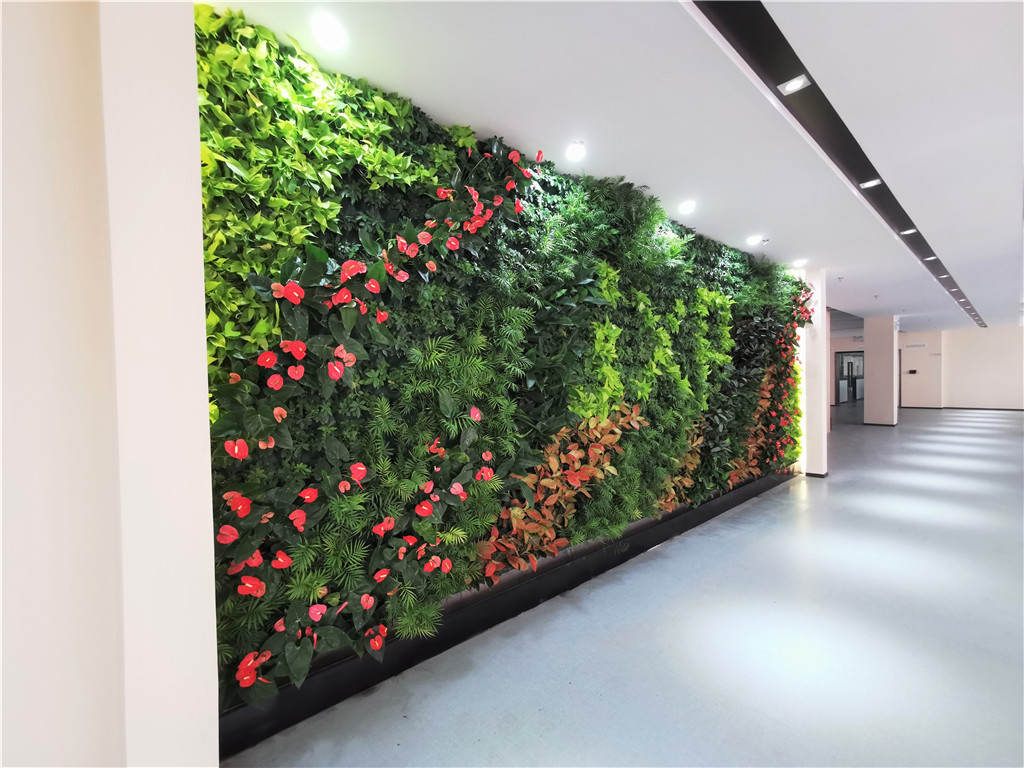 智能设备提升活体绿色植物墙的存活率