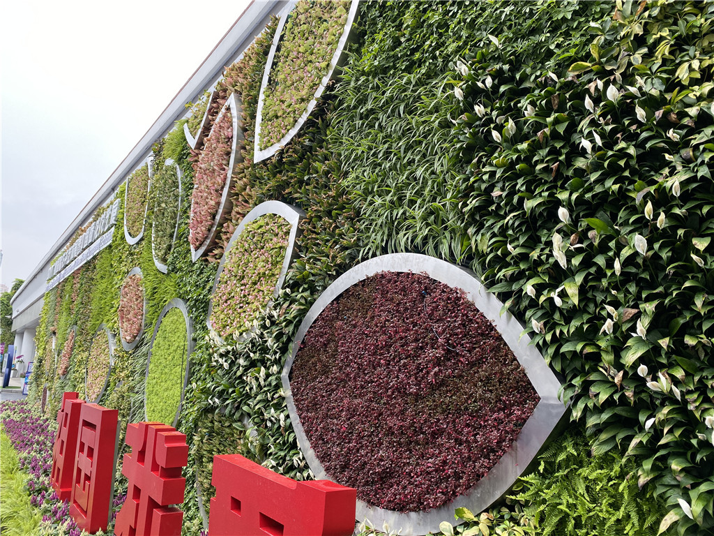 垂直绿化-广州国际花艺展活体植物墙项目 (5)