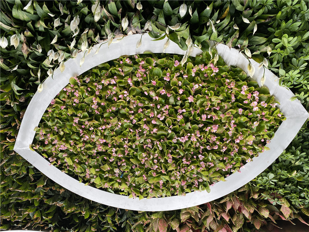 垂直绿化-广州国际花艺展活体植物墙项目 (4)