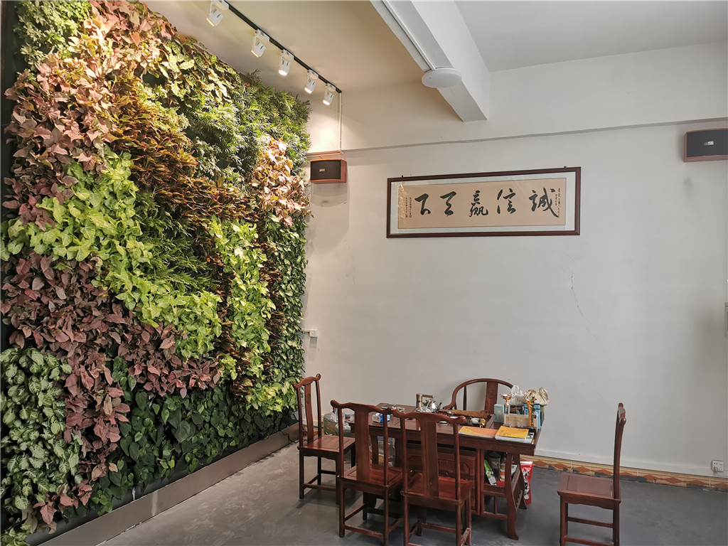 蓉馨办公室植物墙