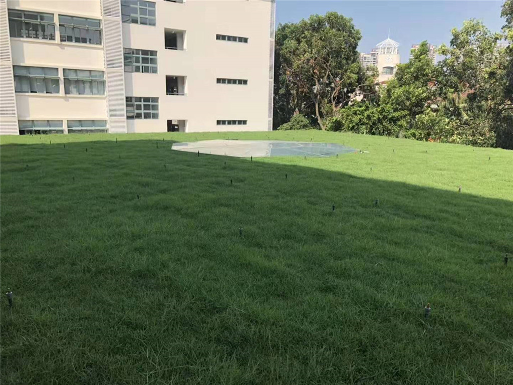 珠海闵宏学校屋顶绿化 (2)