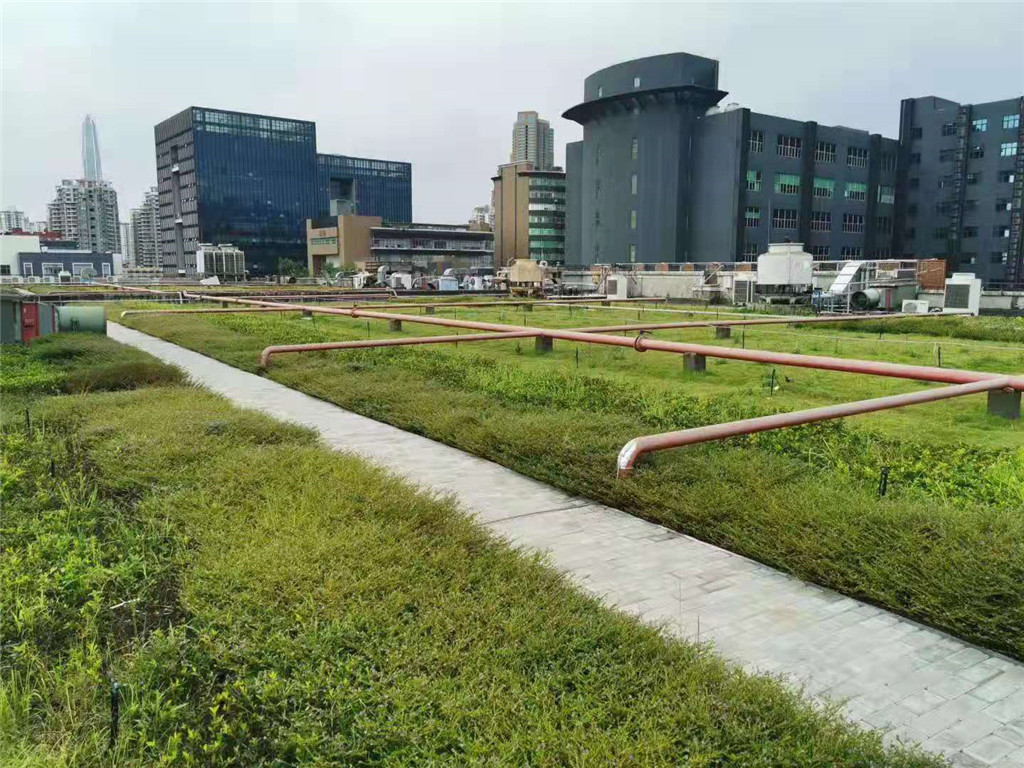 东方希望中心屋顶绿化 (1)