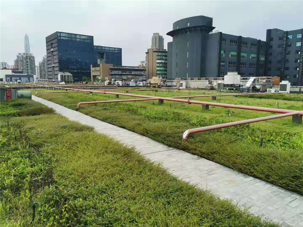 东方希望中心屋顶绿化