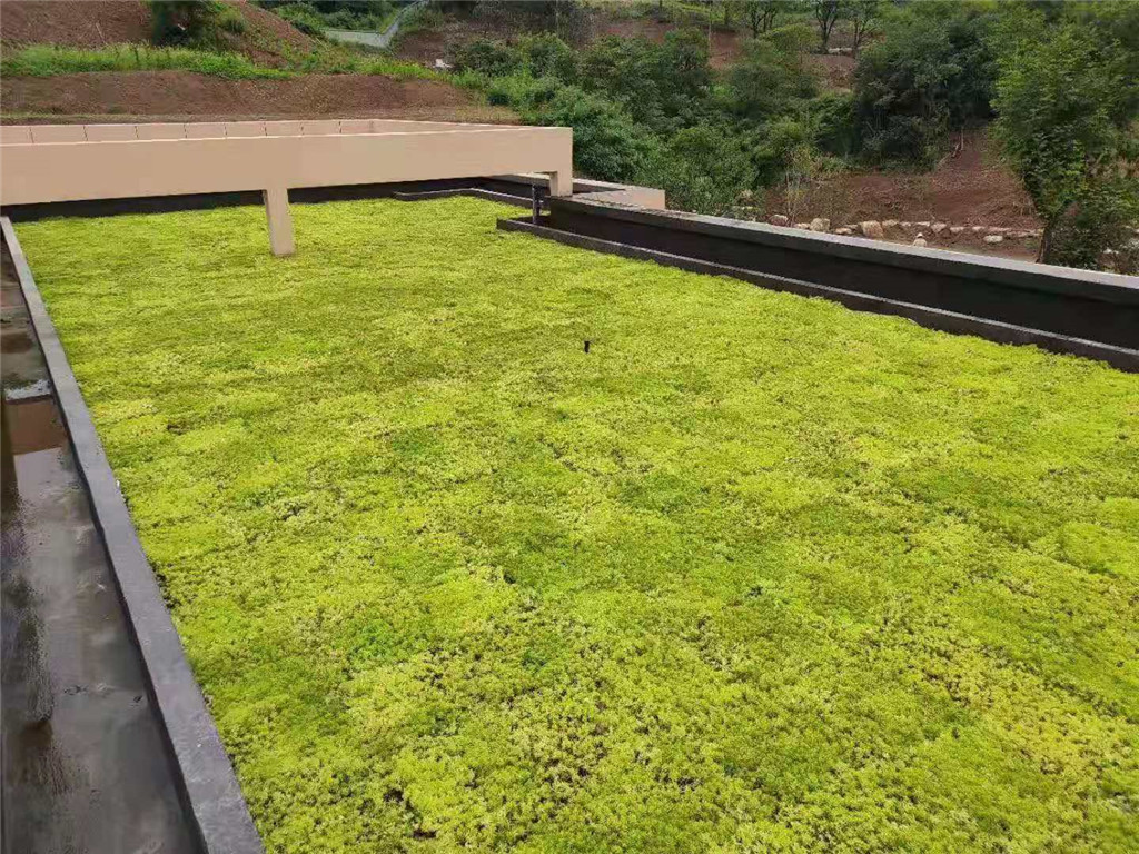 成都天府农庄屋顶绿化 (5)