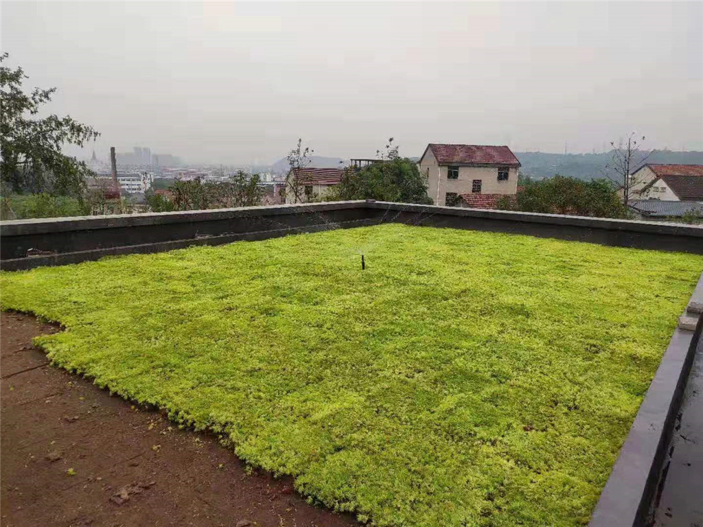 成都天府农庄屋顶绿化