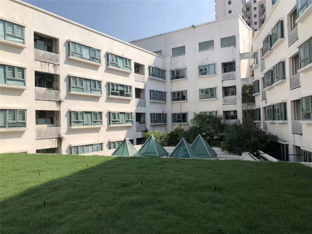 珠海闵宏学校屋顶绿化 (4)