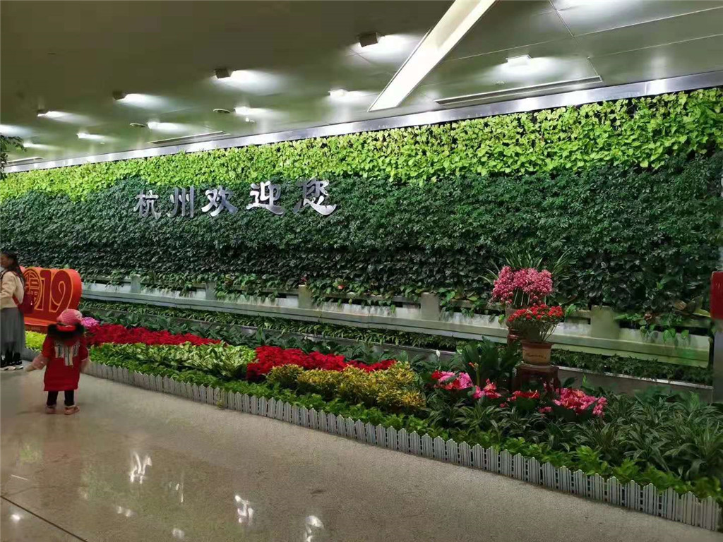 成都智能植物墙养护方案（如何养护植物墙植物）