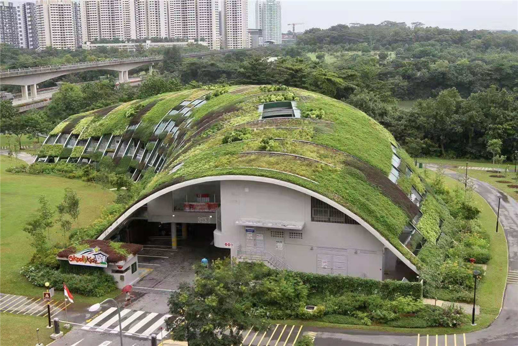 四川蓉馨景观拱形屋面屋顶绿化 (1)