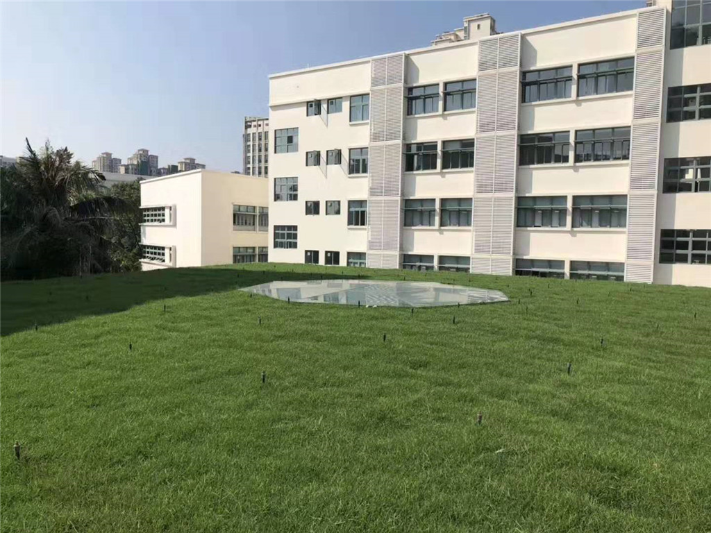 珠海闵宏学校屋顶绿化 (3)
