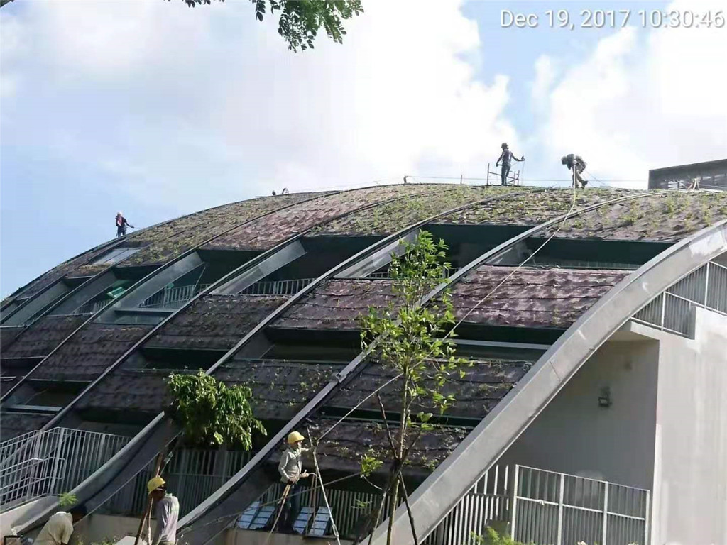 四川蓉馨景观拱形屋面屋顶绿化 (3)