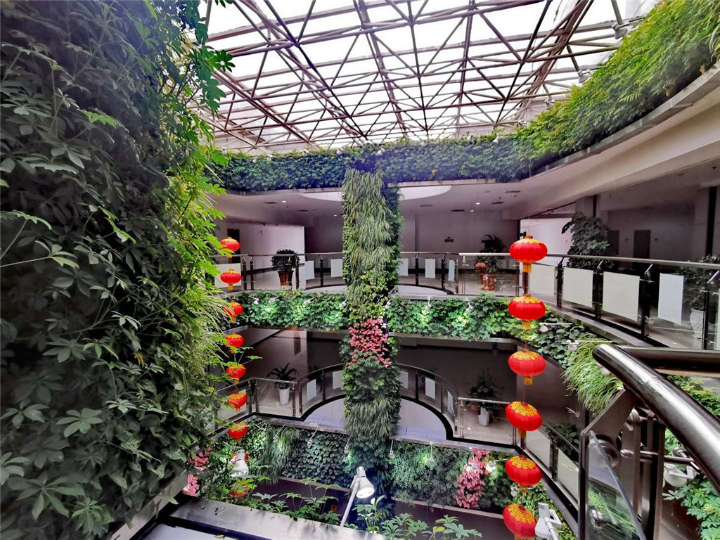 中国农科城室内植物墙设计施工项目
