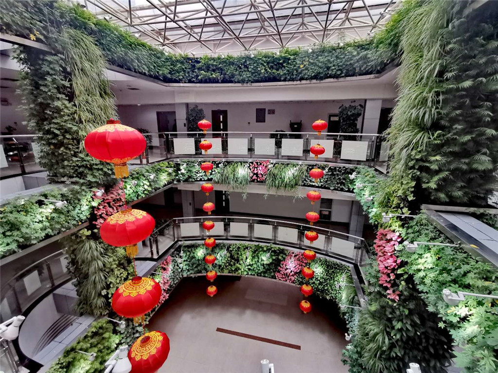 中国农科城室内植物墙 (2)