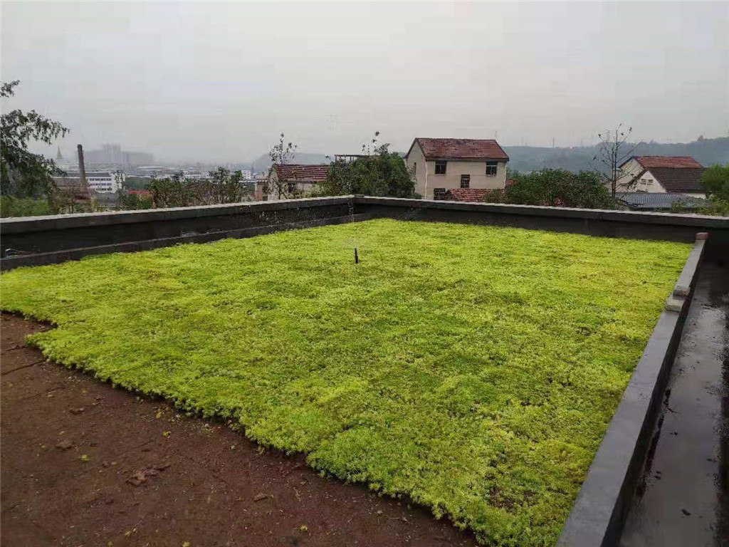 成都天府农庄屋顶绿化 (2)
