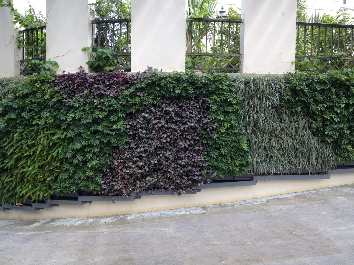 皇冠假日商场酒店室外停车场入口垂直绿化植物墙