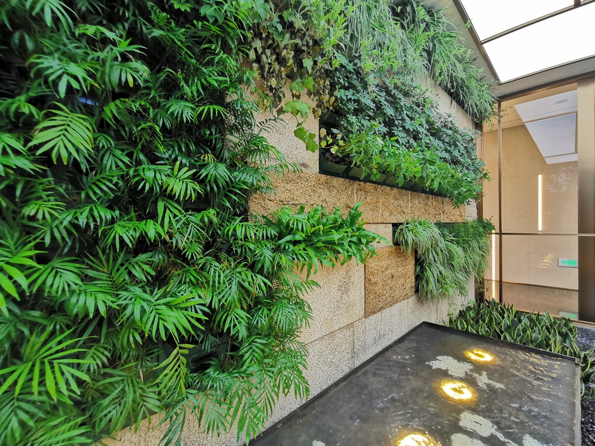 四川成都室内垂直绿化植物墙，仁寿观澜大院案例 (2)