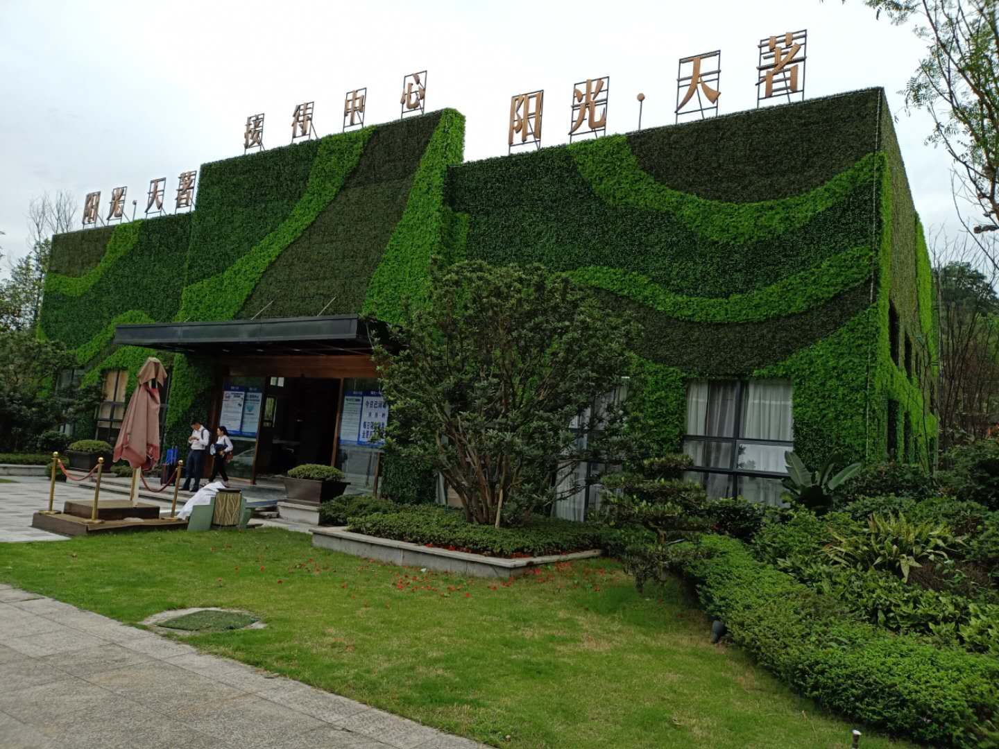 四季美景的垂直绿化庭院，设计与实施的最佳实践