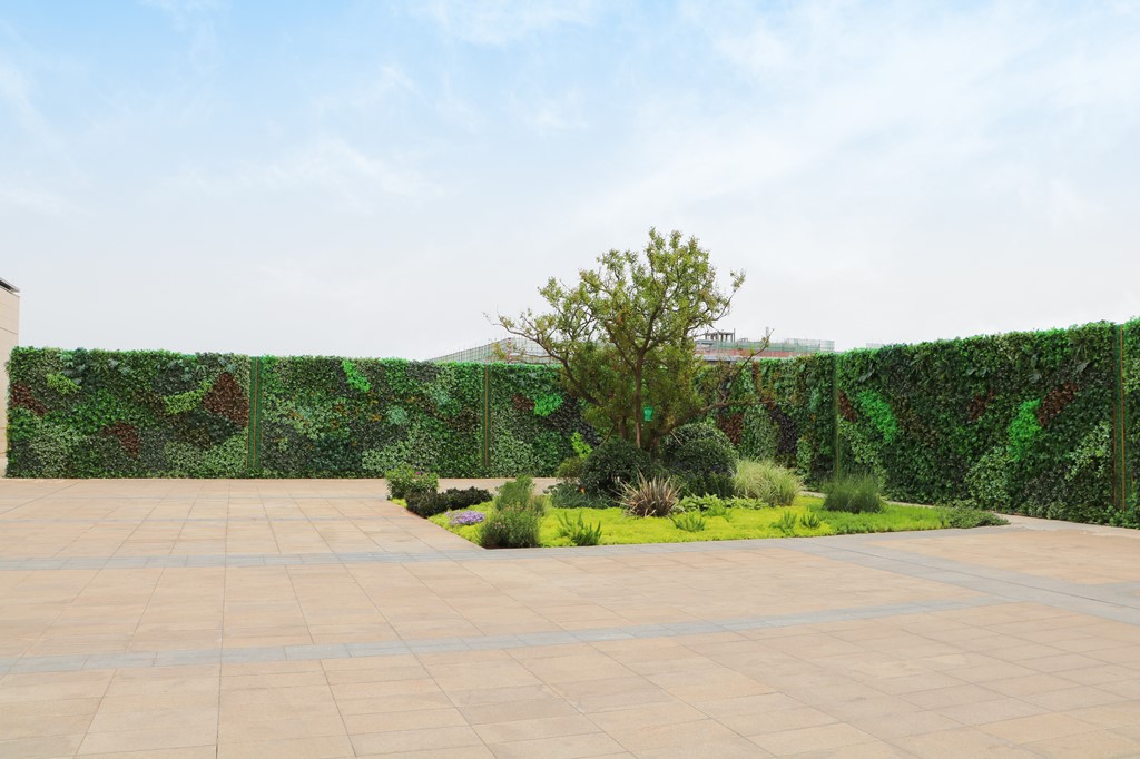 建筑绿化中的植物选择对城市风貌的影响是什么