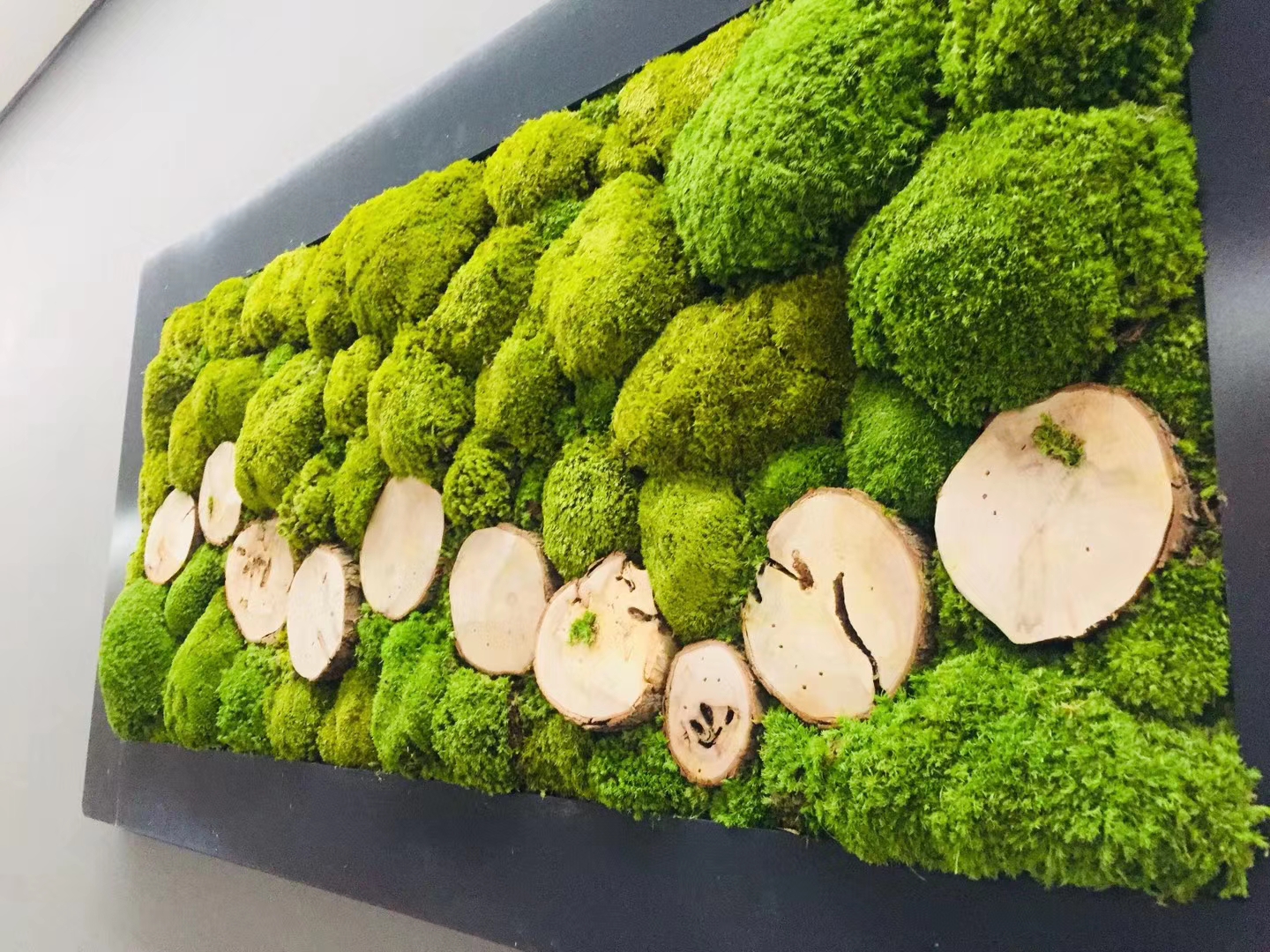 成都室内永生苔藓植物墙设计制作
