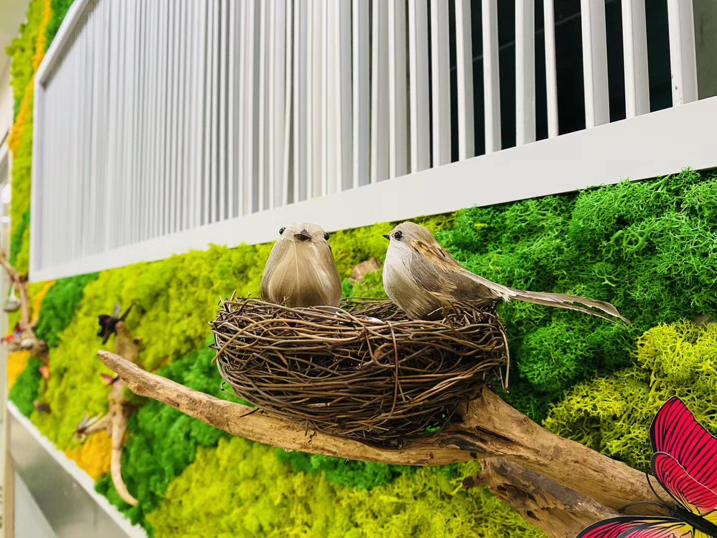 室内永生苔藓植物墙案例 01