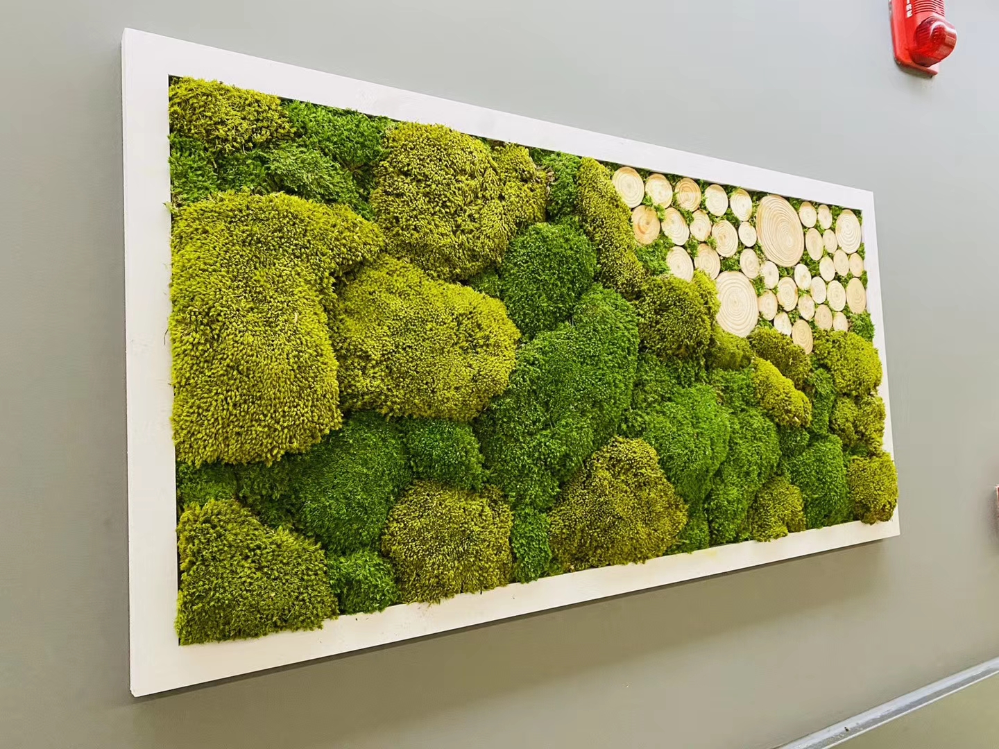 室内永生苔藓植物墙案例
