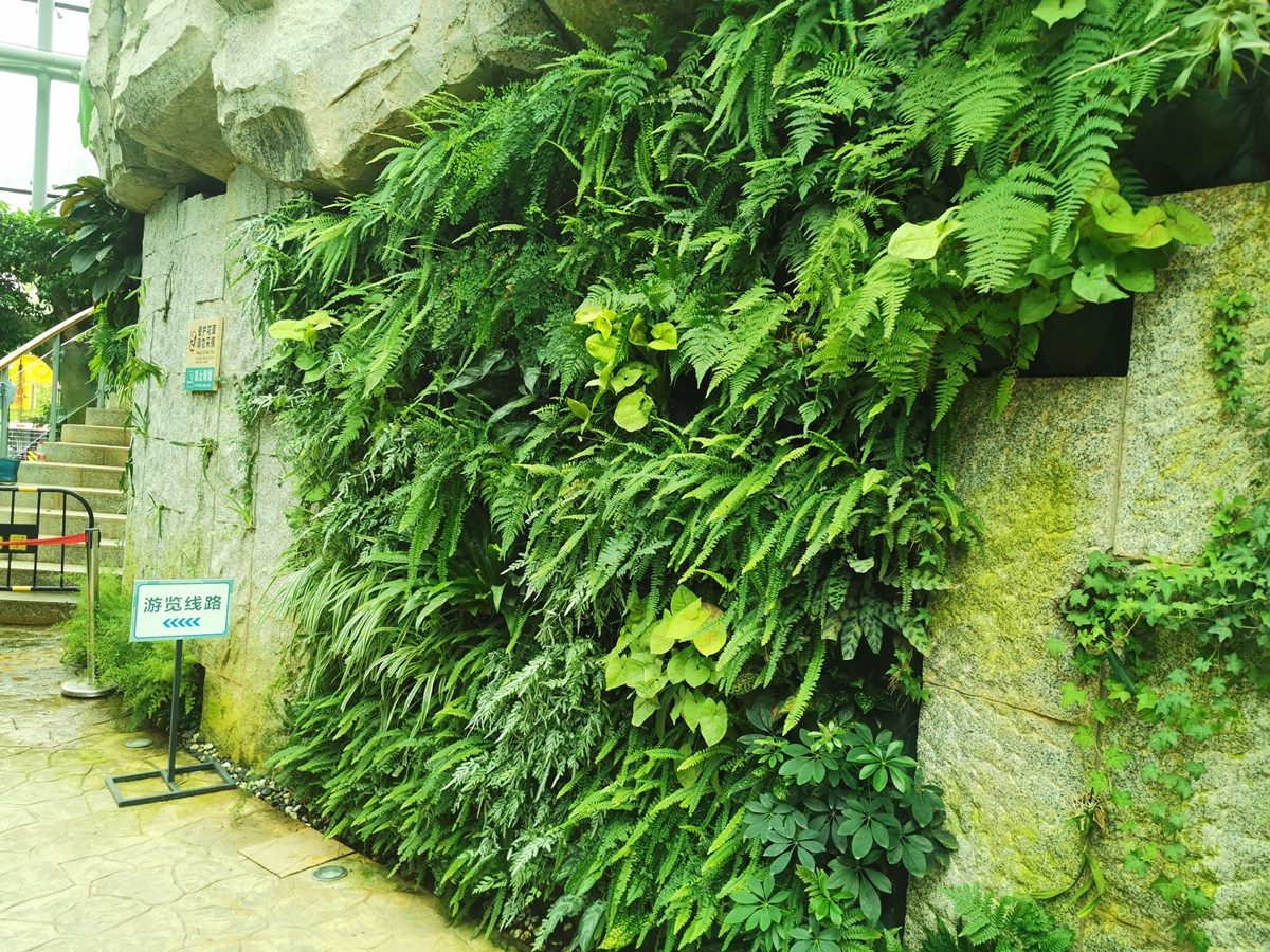 四川生态餐厅绿化软装案例 (3)