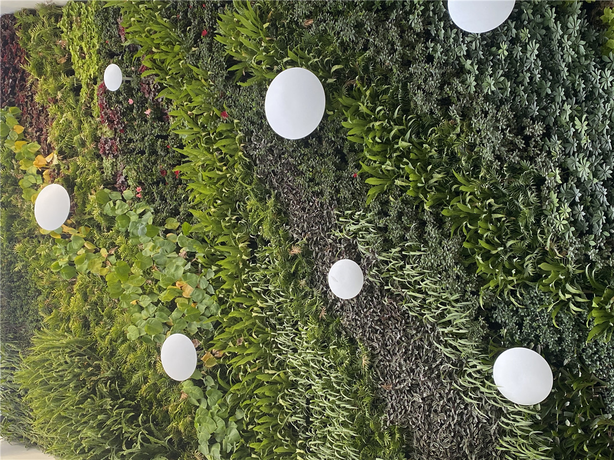 成都高端绿色植物墙设计制作